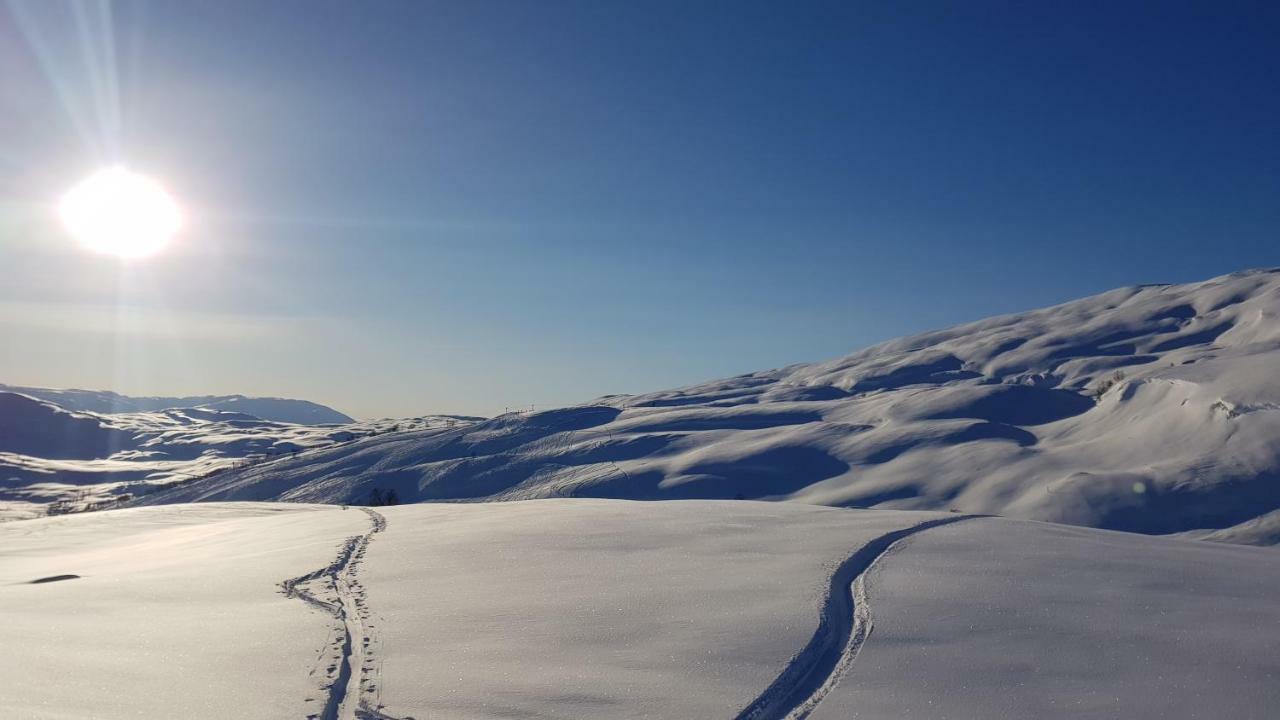 Timblalodgen Sogndal